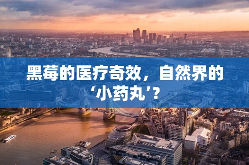 黑莓的医疗奇效，自然界的‘小药丸’？