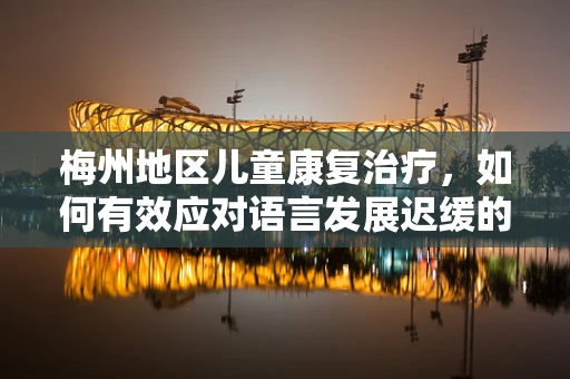 梅州地区儿童康复治疗，如何有效应对语言发展迟缓的挑战？