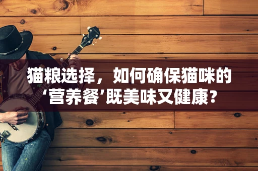 猫粮选择，如何确保猫咪的‘营养餐’既美味又健康？