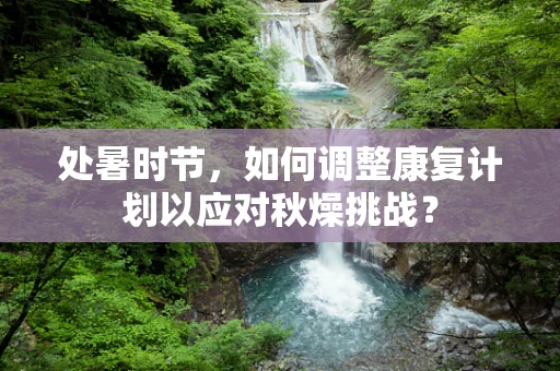 处暑时节，如何调整康复计划以应对秋燥挑战？