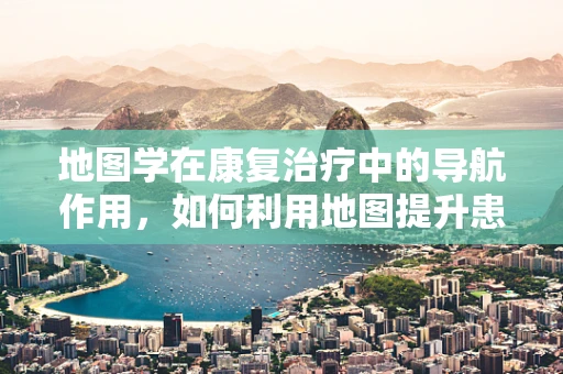 地图学在康复治疗中的导航作用，如何利用地图提升患者空间认知能力？