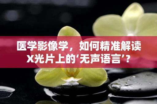 医学影像学，如何精准解读X光片上的‘无声语言’？