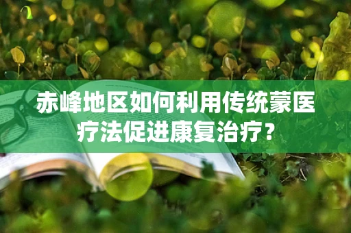 赤峰地区如何利用传统蒙医疗法促进康复治疗？