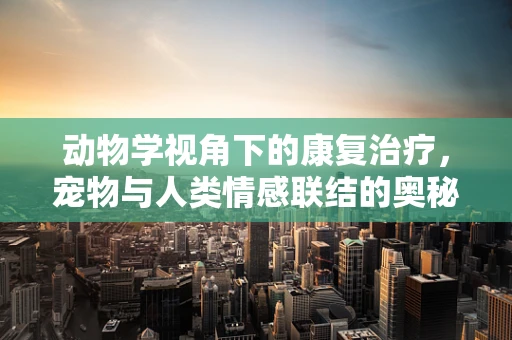动物学视角下的康复治疗，宠物与人类情感联结的奥秘