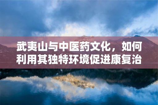 武夷山与中医药文化，如何利用其独特环境促进康复治疗？