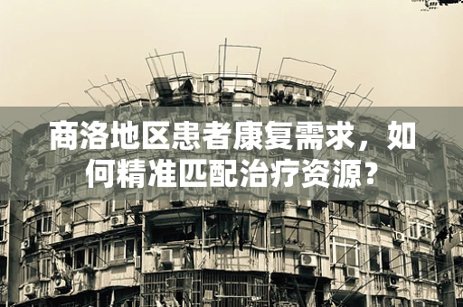 商洛地区患者康复需求，如何精准匹配治疗资源？