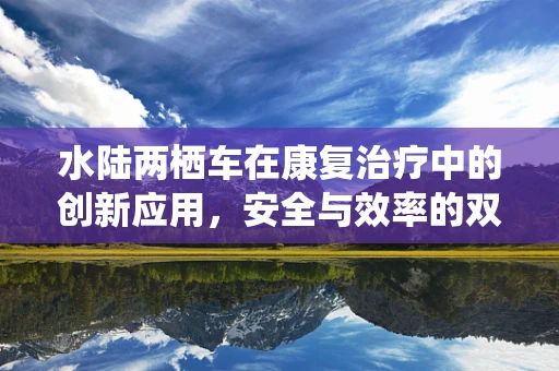 水陆两栖车在康复治疗中的创新应用，安全与效率的双重考量