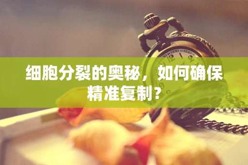 细胞分裂的奥秘，如何确保精准复制？