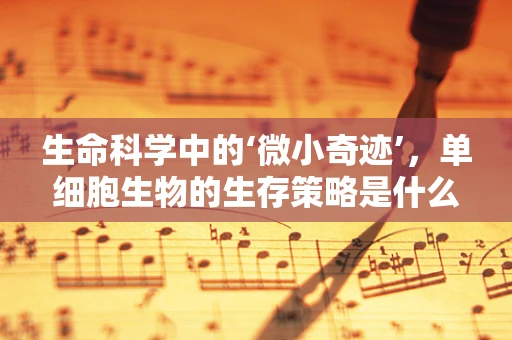 生命科学中的‘微小奇迹’，单细胞生物的生存策略是什么？