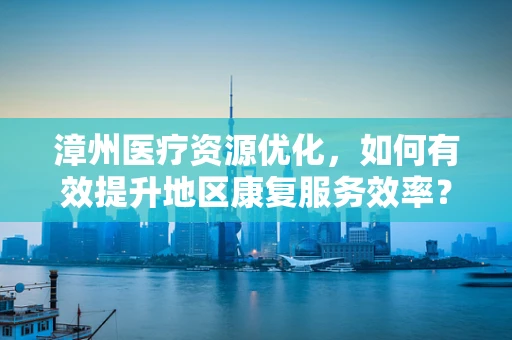 漳州医疗资源优化，如何有效提升地区康复服务效率？