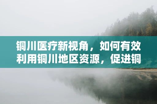 铜川医疗新视角，如何有效利用铜川地区资源，促进铜川市居民的铜过敏防治？