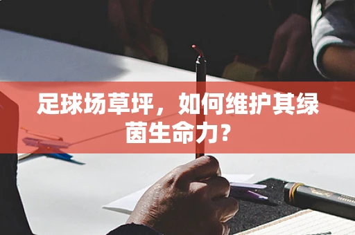 足球场草坪，如何维护其绿茵生命力？