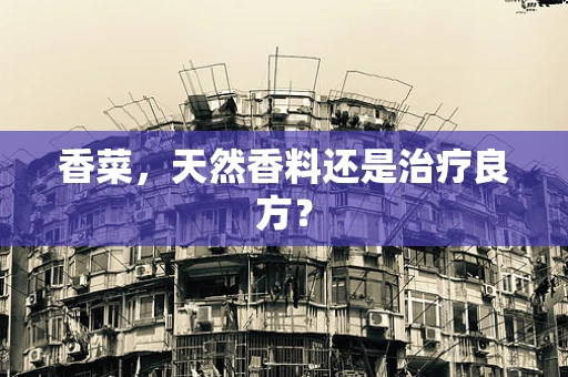 香菜，天然香料还是治疗良方？