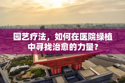 园艺疗法，如何在医院绿植中寻找治愈的力量？