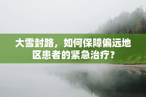 大雪封路，如何保障偏远地区患者的紧急治疗？