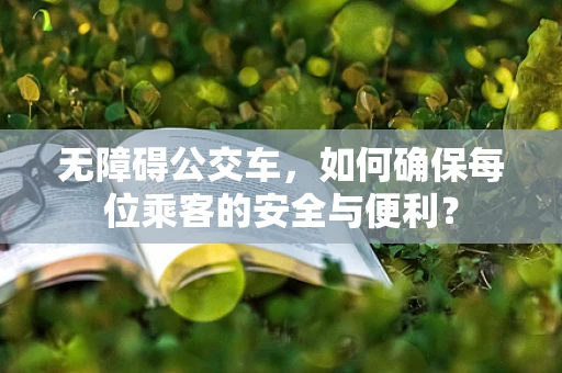无障碍公交车，如何确保每位乘客的安全与便利？