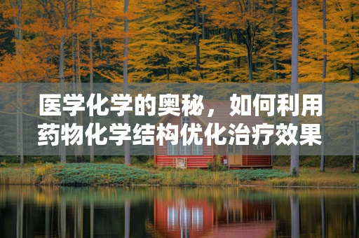 医学化学的奥秘，如何利用药物化学结构优化治疗效果？
