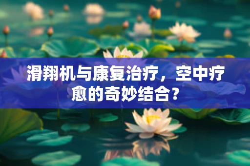 滑翔机与康复治疗，空中疗愈的奇妙结合？