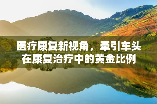 医疗康复新视角，牵引车头在康复治疗中的黄金比例