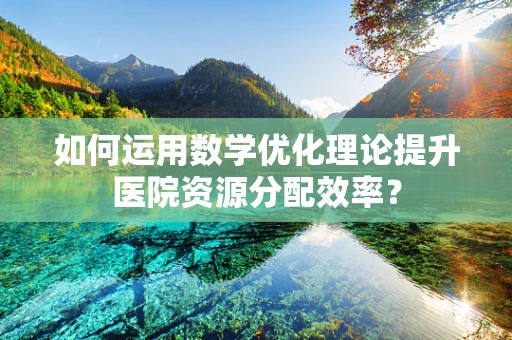 如何运用数学优化理论提升医院资源分配效率？