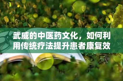 武威的中医药文化，如何利用传统疗法提升患者康复效果？