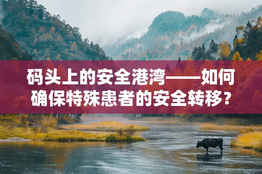 码头上的安全港湾——如何确保特殊患者的安全转移？