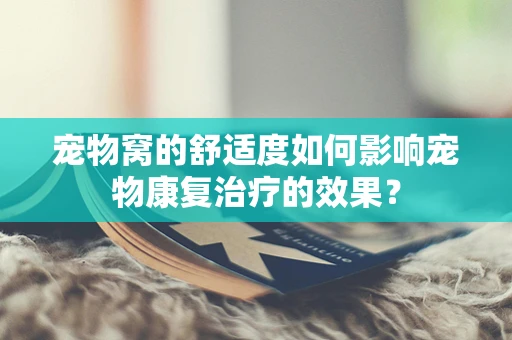 宠物窝的舒适度如何影响宠物康复治疗的效果？