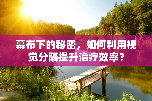 幕布下的秘密，如何利用视觉分隔提升治疗效率？
