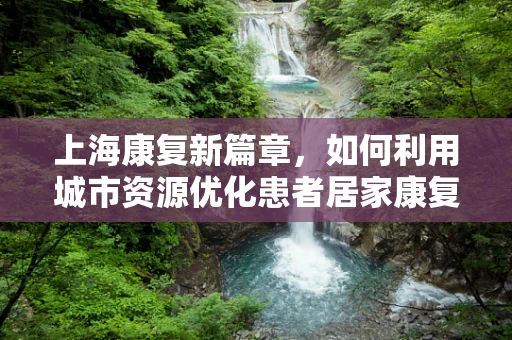 上海康复新篇章，如何利用城市资源优化患者居家康复环境？