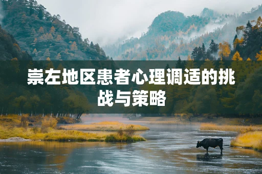 崇左地区患者心理调适的挑战与策略