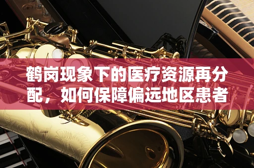 鹤岗现象下的医疗资源再分配，如何保障偏远地区患者的心理健康治疗？