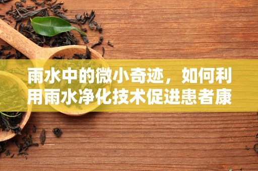 雨水中的微小奇迹，如何利用雨水净化技术促进患者康复？