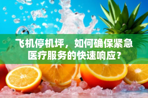 飞机停机坪，如何确保紧急医疗服务的快速响应？