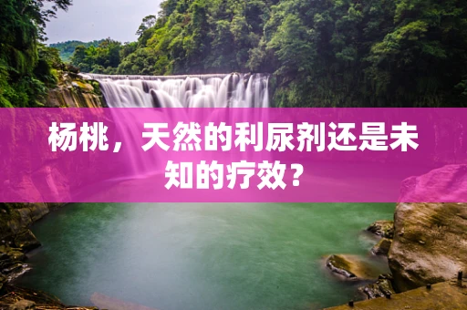 杨桃，天然的利尿剂还是未知的疗效？