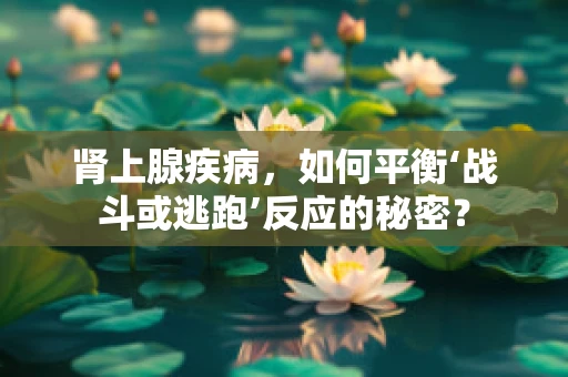 肾上腺疾病，如何平衡‘战斗或逃跑’反应的秘密？
