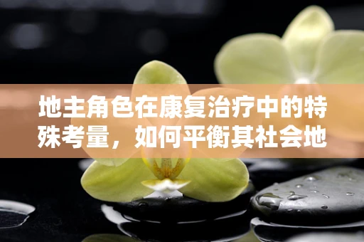 地主角色在康复治疗中的特殊考量，如何平衡其社会地位与治疗需求？