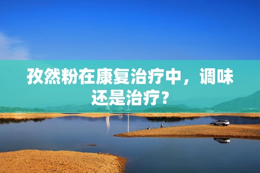 孜然粉在康复治疗中，调味还是治疗？