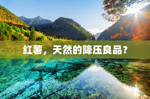 红薯，天然的降压良品？