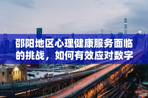 邵阳地区心理健康服务面临的挑战，如何有效应对数字鸿沟的挑战？