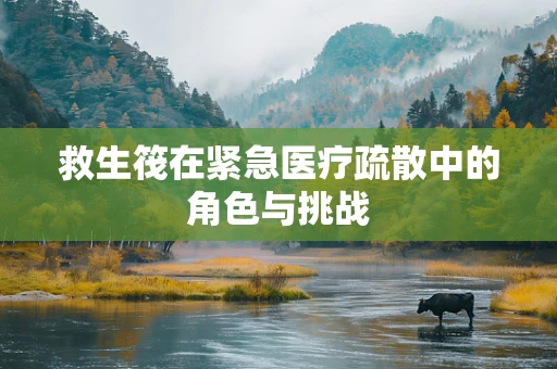 救生筏在紧急医疗疏散中的角色与挑战