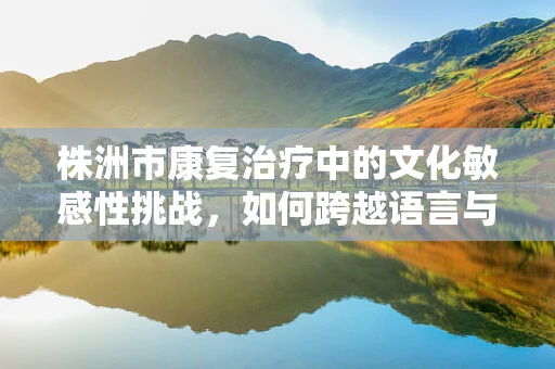 株洲市康复治疗中的文化敏感性挑战，如何跨越语言与文化的鸿沟？