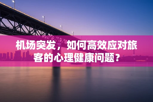 机场突发，如何高效应对旅客的心理健康问题？