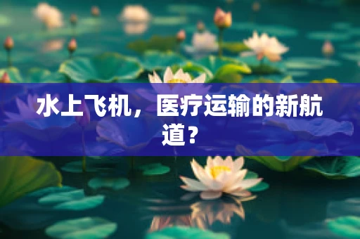 水上飞机，医疗运输的新航道？