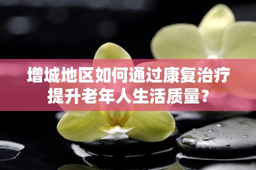 增城地区如何通过康复治疗提升老年人生活质量？