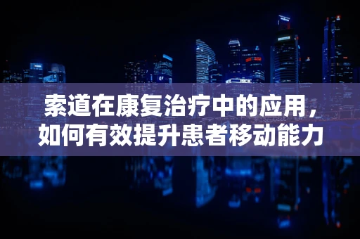 索道在康复治疗中的应用，如何有效提升患者移动能力？