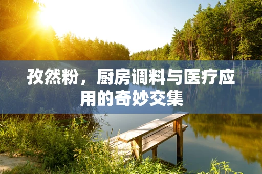 孜然粉，厨房调料与医疗应用的奇妙交集