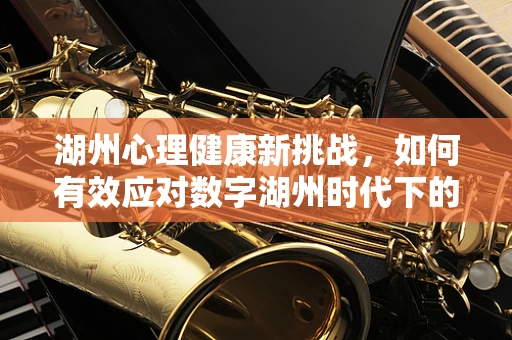湖州心理健康新挑战，如何有效应对数字湖州时代下的居民心理压力？