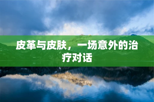皮革与皮肤，一场意外的治疗对话
