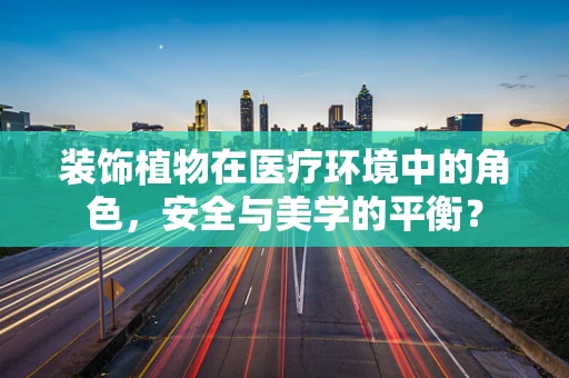 装饰植物在医疗环境中的角色，安全与美学的平衡？