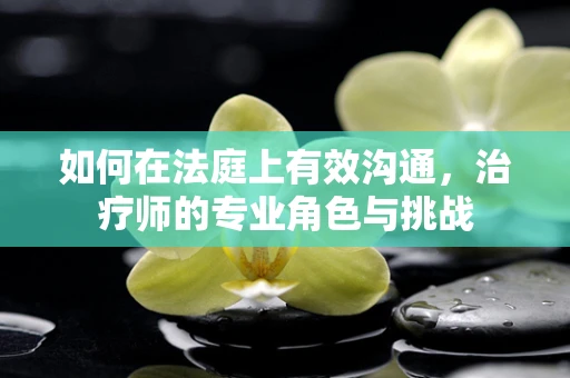 如何在法庭上有效沟通，治疗师的专业角色与挑战